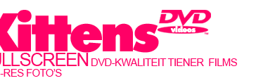 Unlike all these other teensites, mysexykittens.com offers you high resolutions pictures and movies.