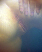 Teen girl porn