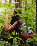 Seventeenlive chat model