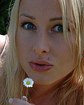 Seventeenlive chat model
