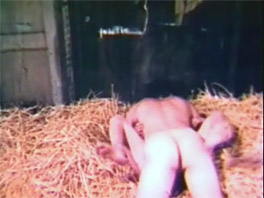 Sex In The Barn Gallery - Vintage Classic Porn