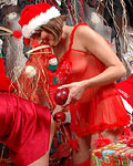 Happy Hollidays!