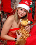 Happy Hollidays!